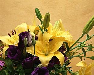 yellow and purple flower arrangement