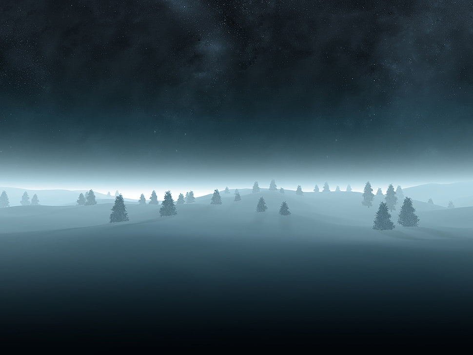 snowy trees, artwork, snow, night, trees HD wallpaper