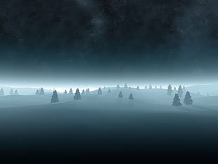 snowy trees, artwork, snow, night, trees