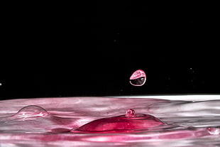 mirco lens photography of water droplet HD wallpaper