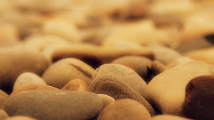 brown pebbles, depth of field, stones HD wallpaper