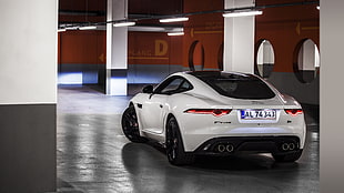 white car, Jaguar, F-Type, white, car HD wallpaper