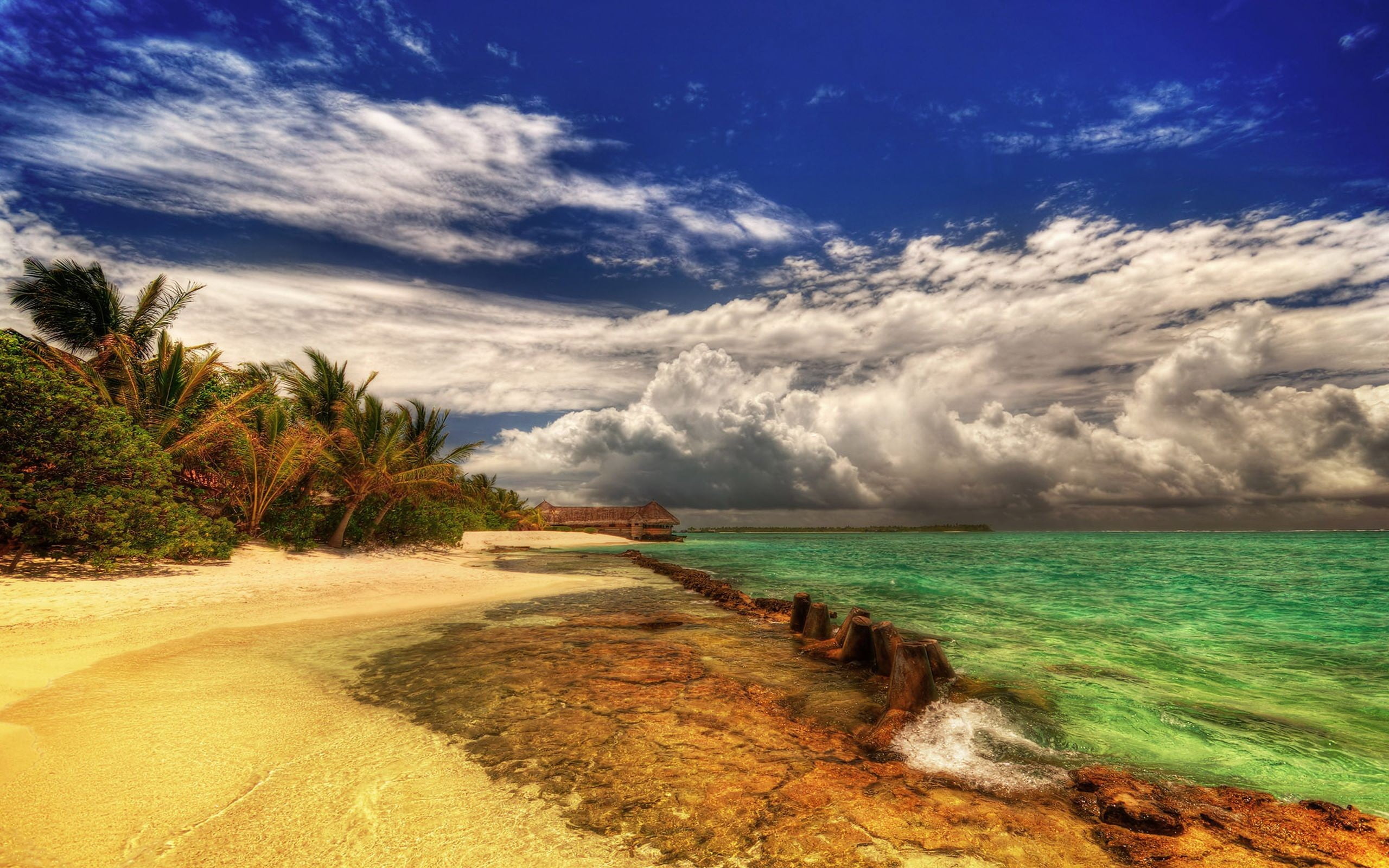 green trees, HDR, sky, sea, nature