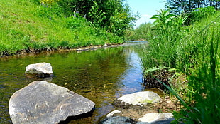 photograph of river during daytime