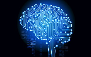 brain system illustration