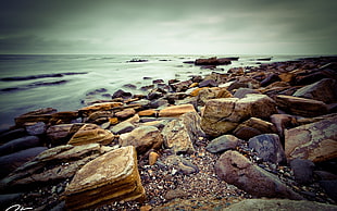 brown stones, coast, sea, nature, sky HD wallpaper