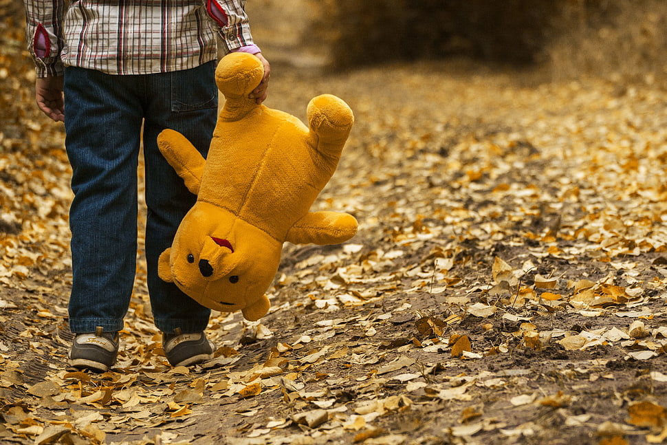 boy holding brown bear plush toy walking on the brown leaf field HD wallpaper