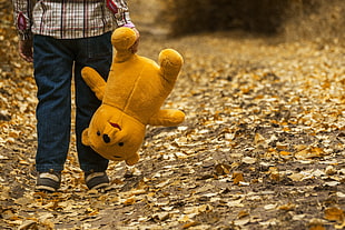 boy holding brown bear plush toy walking on the brown leaf field