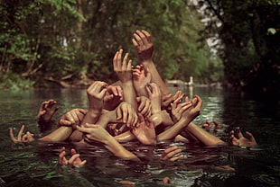 human hand on body of water