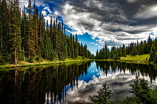 body of water in the middle of green trees under gray clouds HD wallpaper