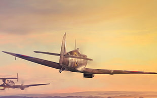 gray and black plane, World War II, military, aircraft, military aircraft
