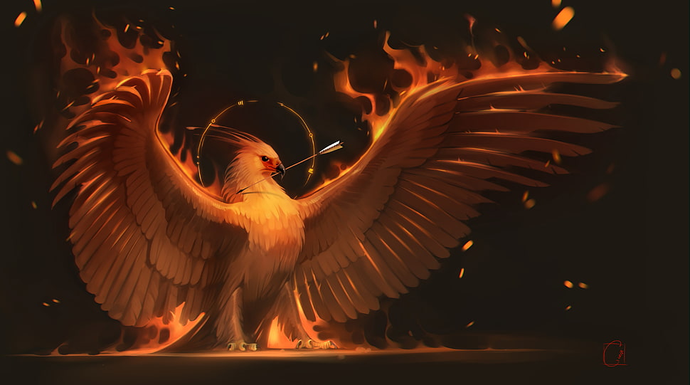 white eagle with fire wings graphic wallpaper HD wallpaper