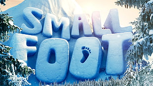 Small Foot snow vector
