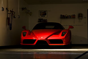 red Ferrari Enzo