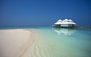 white and brown beach cottage, beach, waterfront, Maldives, nature HD wallpaper