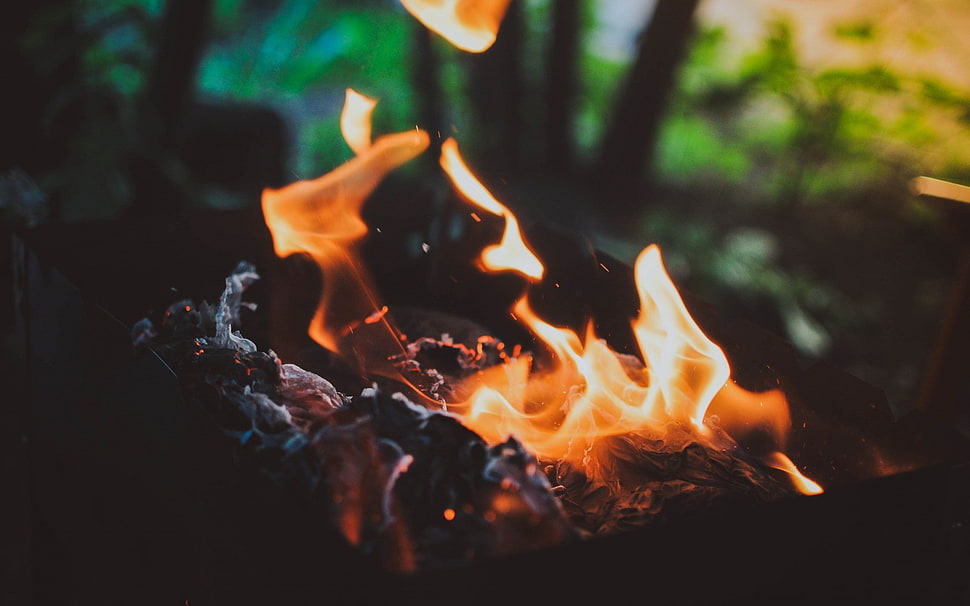 bonfire, fire HD wallpaper