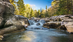 flowing water with trees, upper falls HD wallpaper
