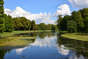 calm river surrounded with trees and lush vegetation