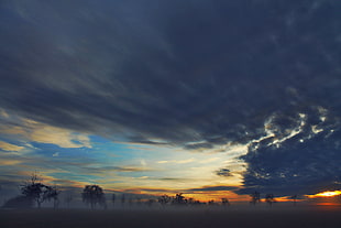 green trees under black clouds during golden hours