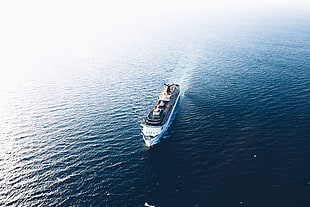 white and blue boat, nature, sea, ship, cruise ship