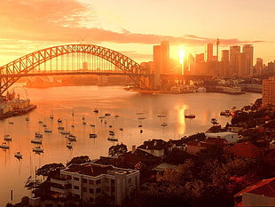 gray bridge, architecture, city, Sydney Harbour Bridge, Australia HD wallpaper