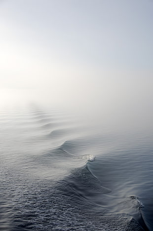 photo of waves of the sea