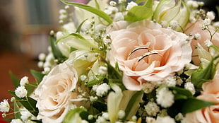 pink Roses and baby's breath flowers bouquet