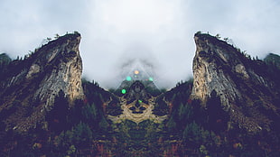 grass covered mountain, mountains, forest, mirrored, prism