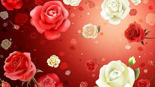 red and white flower wallpaper
