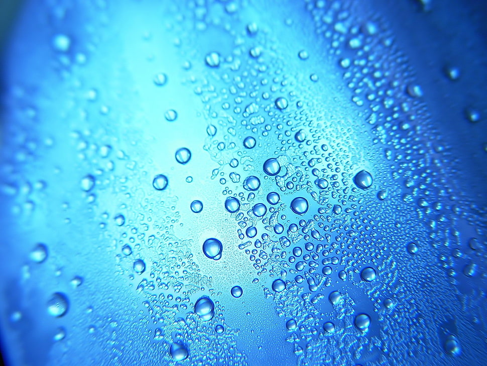 Shallow Focus of raindrops HD wallpaper