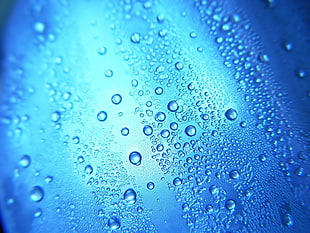 Shallow Focus of raindrops