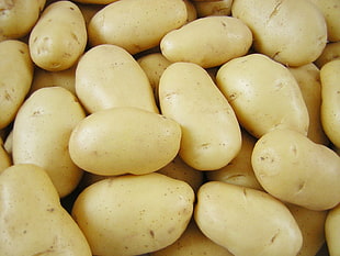 close-up photo of bunch of potatoes
