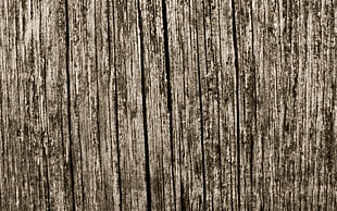 panoramic photo of brown and white wooden surface digital wallpaper