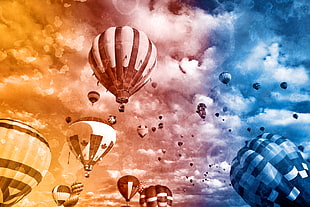 hot air balloons floating in the sky