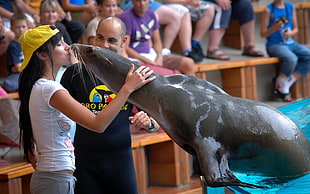 woman in white short-sleeved shirt and yellow baseball cap kissing gray sea-lion during daytime