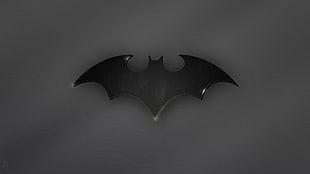 photo of Batman logo digital wallpaper