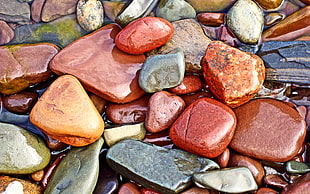 assorted multicolored pebbles HD wallpaper