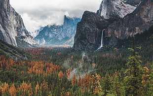 waterfalls near garden and mountain during daytime, wilderness, mountains, forest, Yosemite National Park HD wallpaper