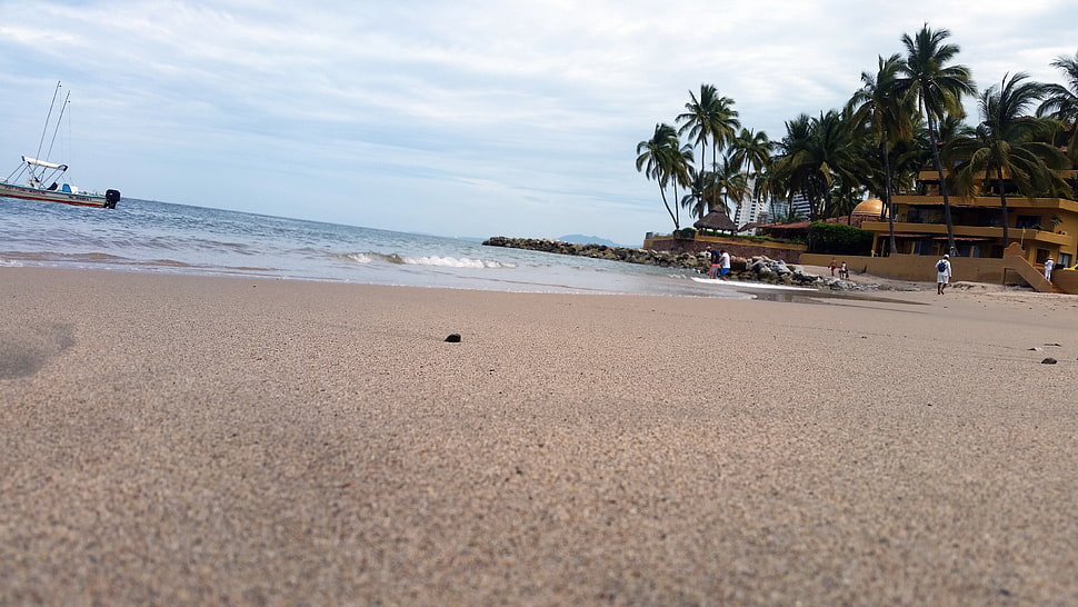 beach seashore, beach HD wallpaper