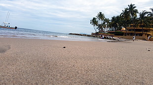 beach seashore, beach