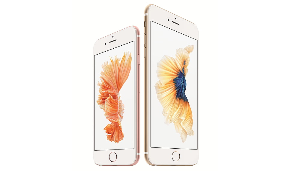 rose gold iPhone 6 and gold iPhone 6 plus HD wallpaper