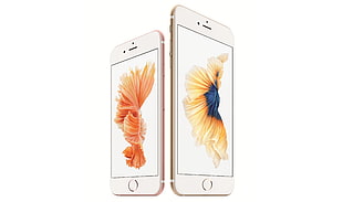 rose gold iPhone 6 and gold iPhone 6 plus HD wallpaper