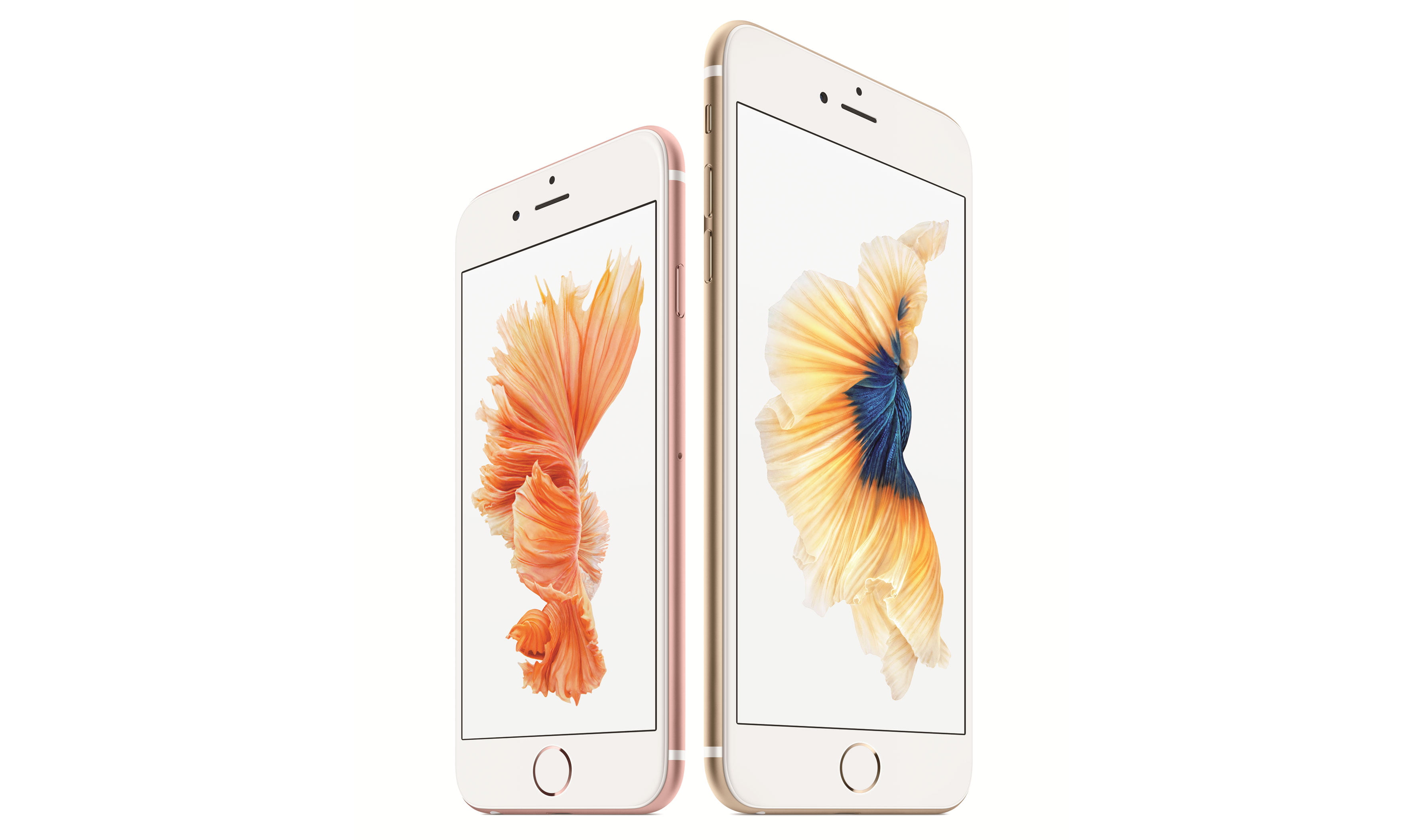 Rose gold iPhone 6 and gold iPhone 6 plus HD wallpaper | Wallpaper Flare