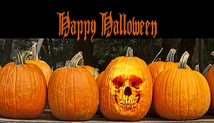 Happy Halloween squash poster HD wallpaper