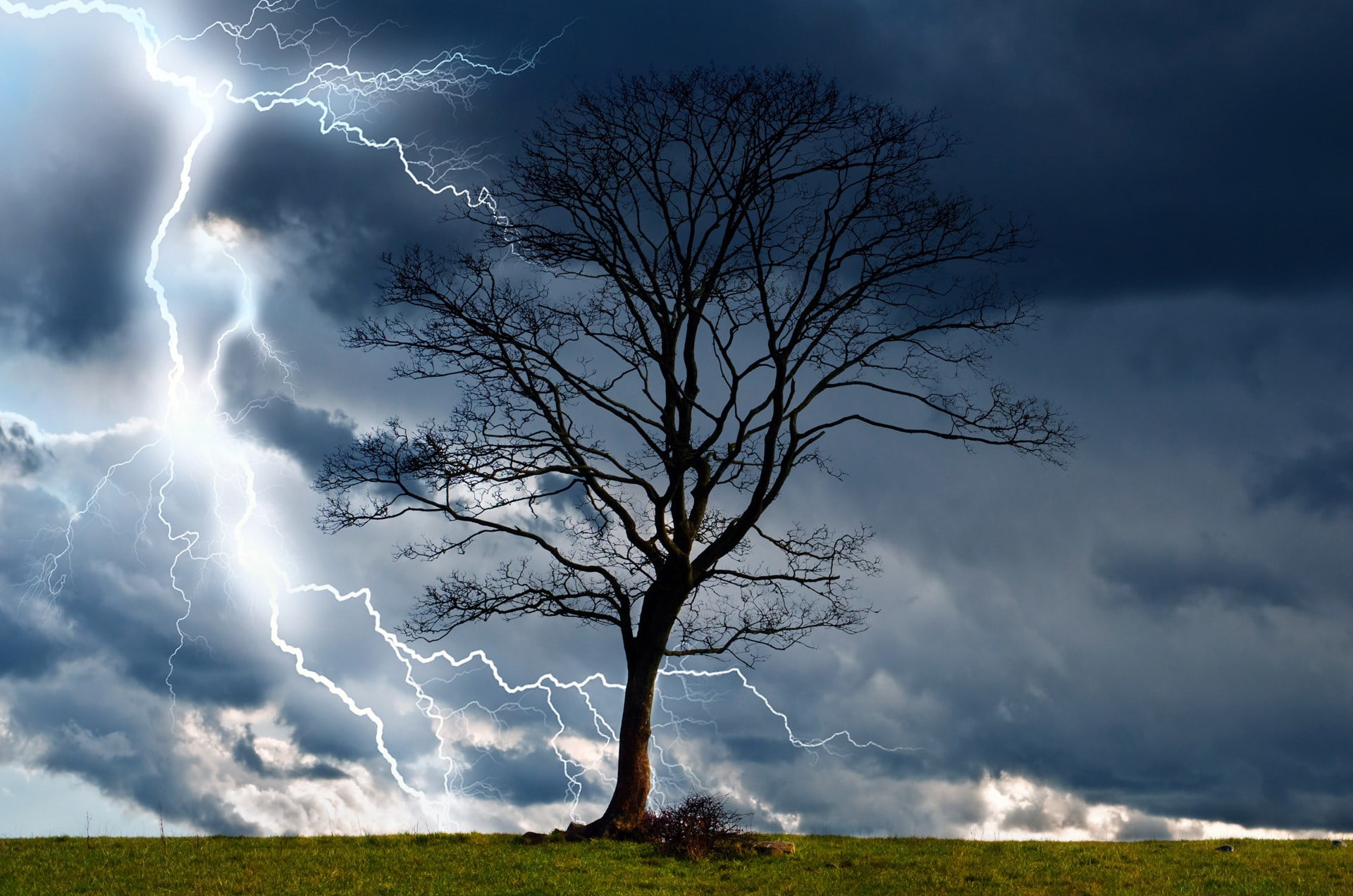 bare tree, trees, storm, sky, lightning
