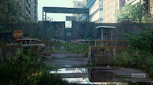 stop road sign, The Last of Us HD wallpaper