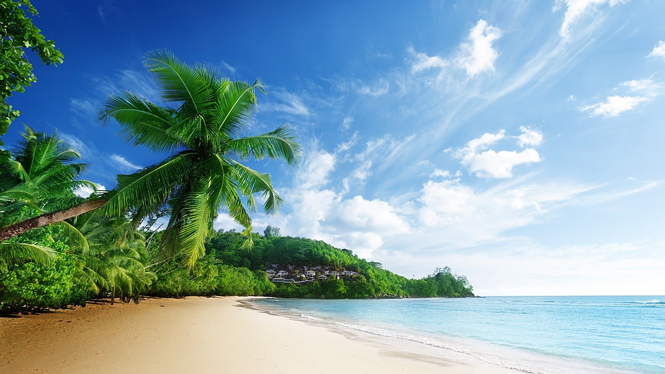 beach shore under blue sky painting HD wallpaper