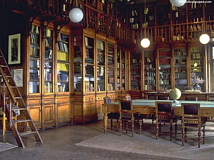 brown wooden library room, library