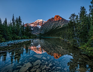 river photo, landscape, pine trees, Jasper National Park, Alberta HD wallpaper
