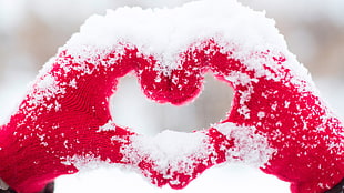 red gloves filled with snow forming heart HD wallpaper